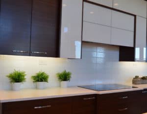Contemporary Kitchen Cabinet Inspiration