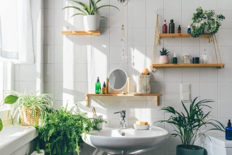 Green Bathroom Remodeling: 8 Tips for an Eco-Friendly Space